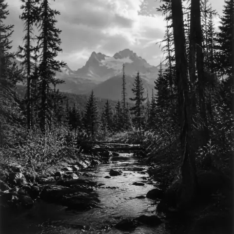 W. 尤金·史密斯 W. Eugene Smith 风格生成图